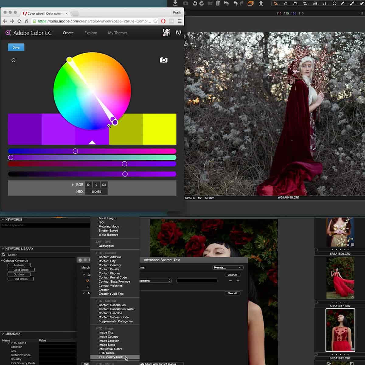 Intro to Capture One Photo Editing Software - Image 11