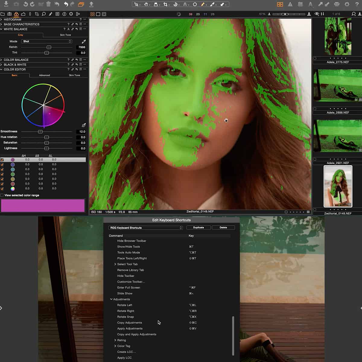 Intro to Capture One Photo Editing Software - Image 8