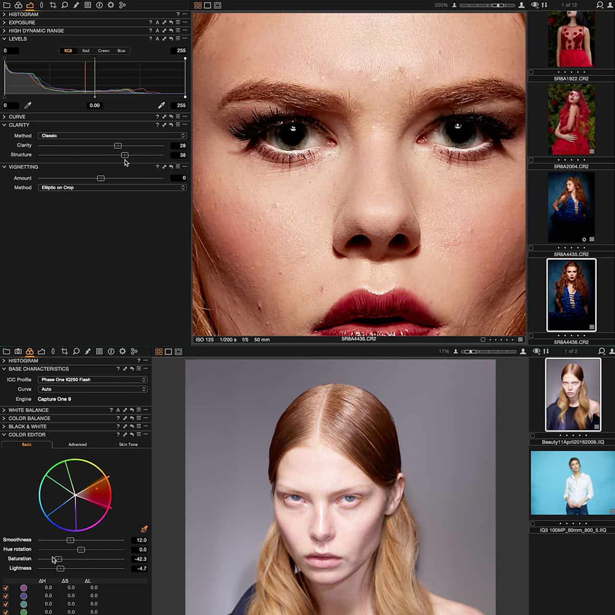 Intro to Capture One Photo Editing Software - Image 9